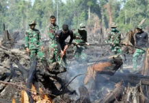 Pemadaman Karhutla di Aceh Selatan Memasuki Hari ke-3, Tim Gabungan TNI Terobos Titik Api