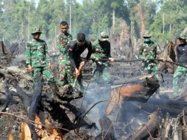 Pemadaman Karhutla di Aceh Selatan Memasuki Hari ke-3, Tim Gabungan TNI Terobos Titik Api