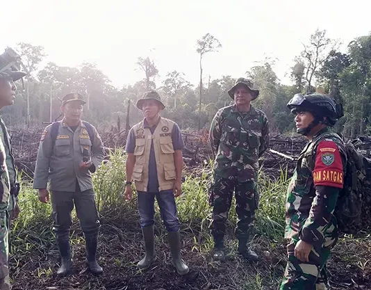TNI dan Tim Gabungan Berhasil Tangani Karhutla di Trumon Timur